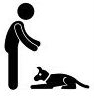 Initial 1½ Hour Training Lesson